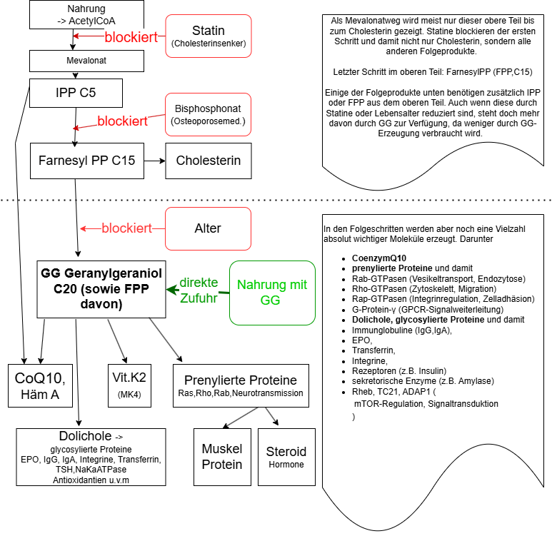 Pathways and hinderances to GG